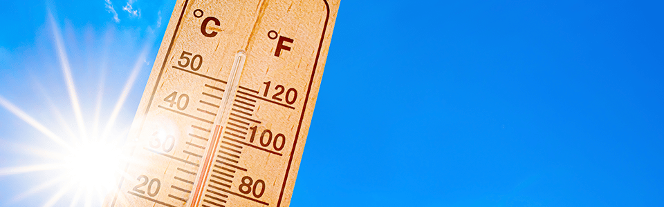 Vague de chaleur en août conséquences sur notre corps